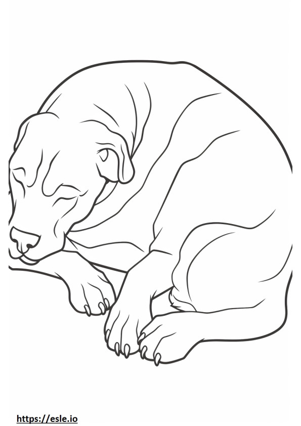 Boglen Terrier schläft ausmalbild
