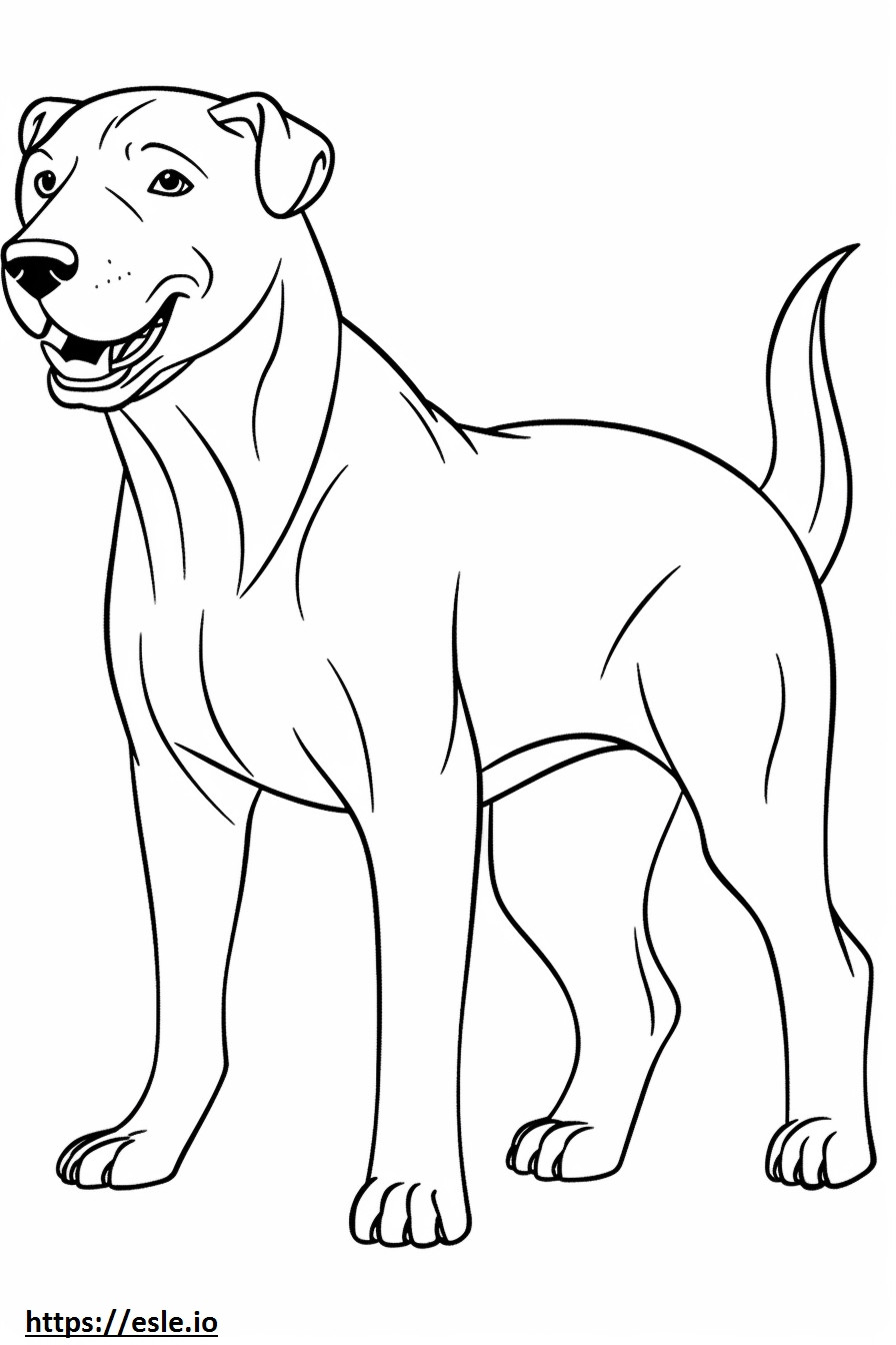 Boglen Terrier brincando para colorir