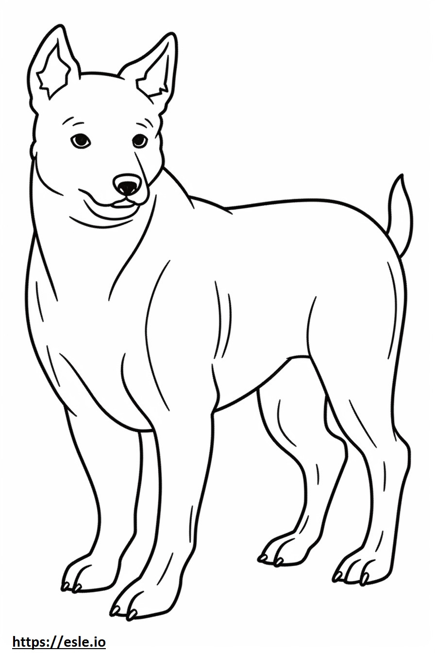 Boglen Terrier Kawaii para colorir