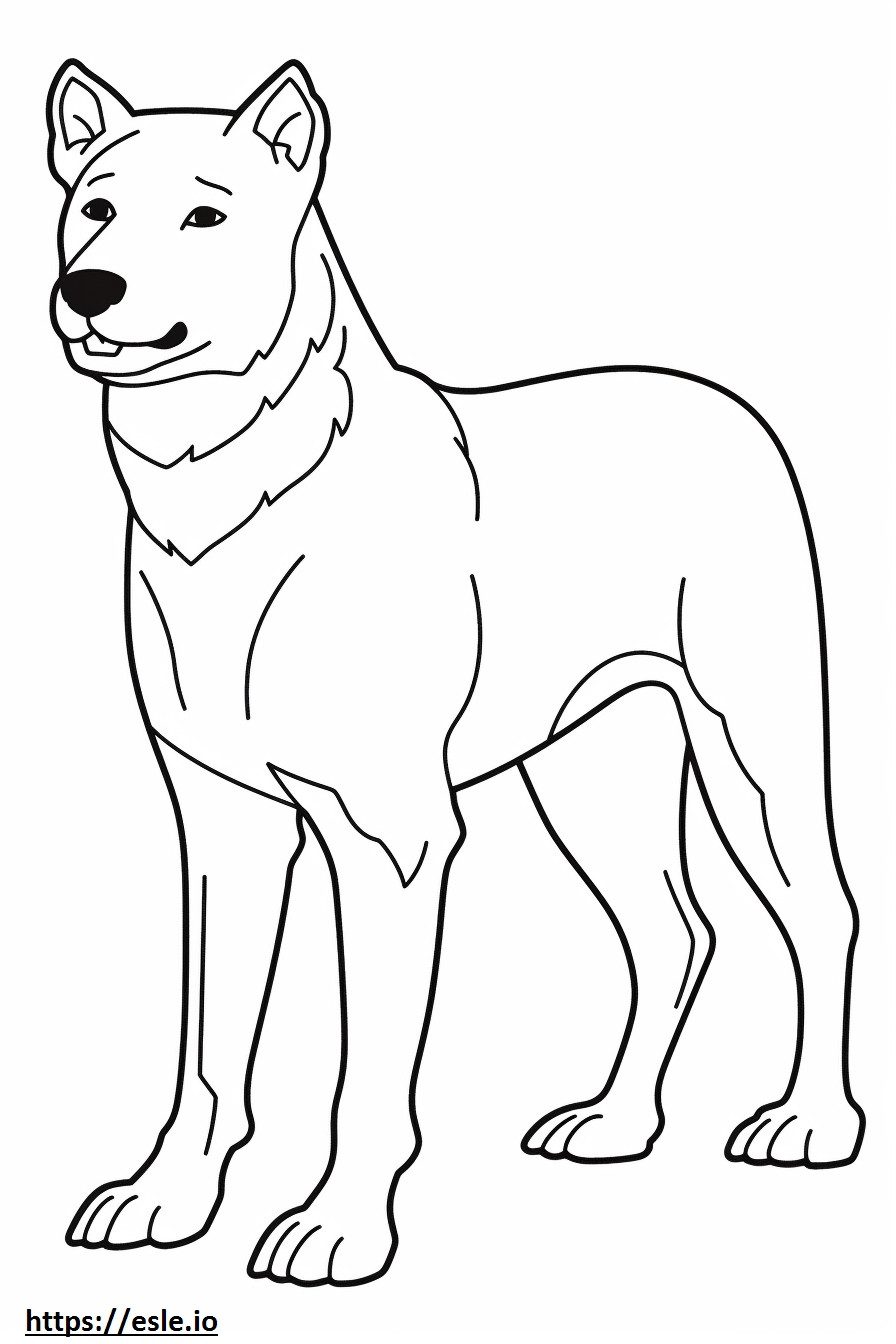 Boglen Terrier Amigável para colorir