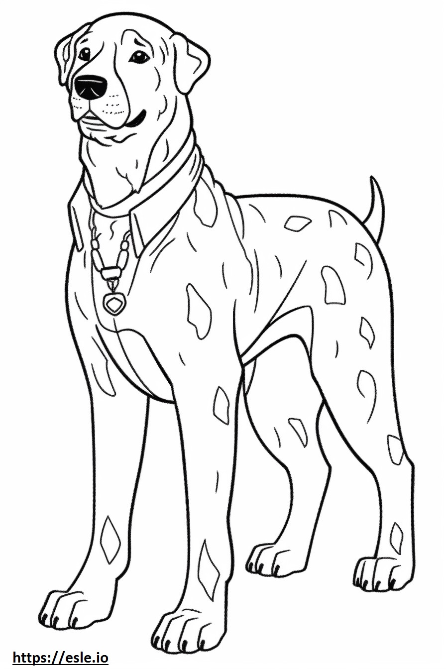 Boglen Terrier Friendly coloring page
