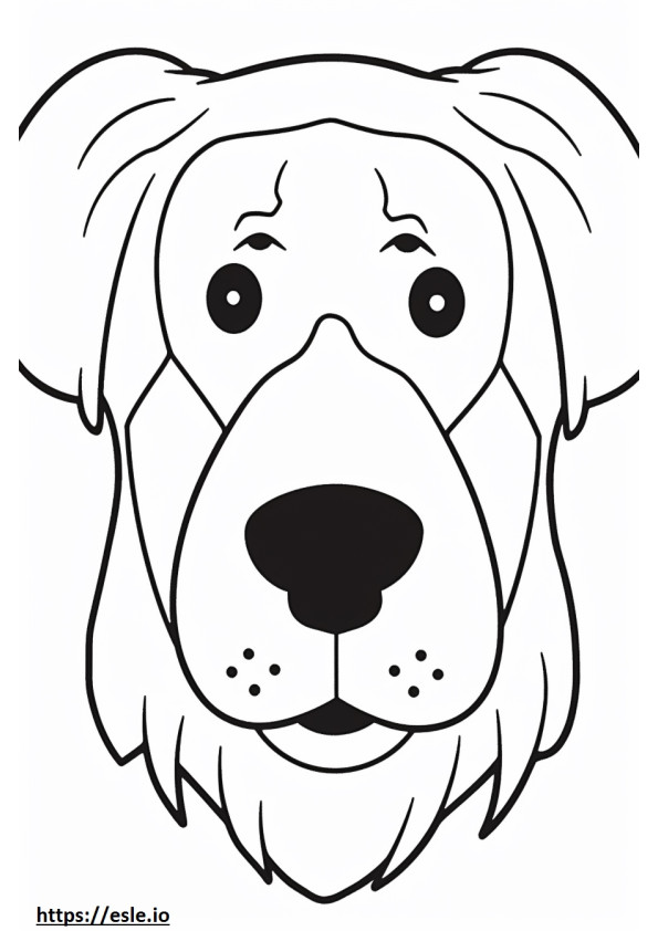 Bolognese-koiran kasvot värityskuva