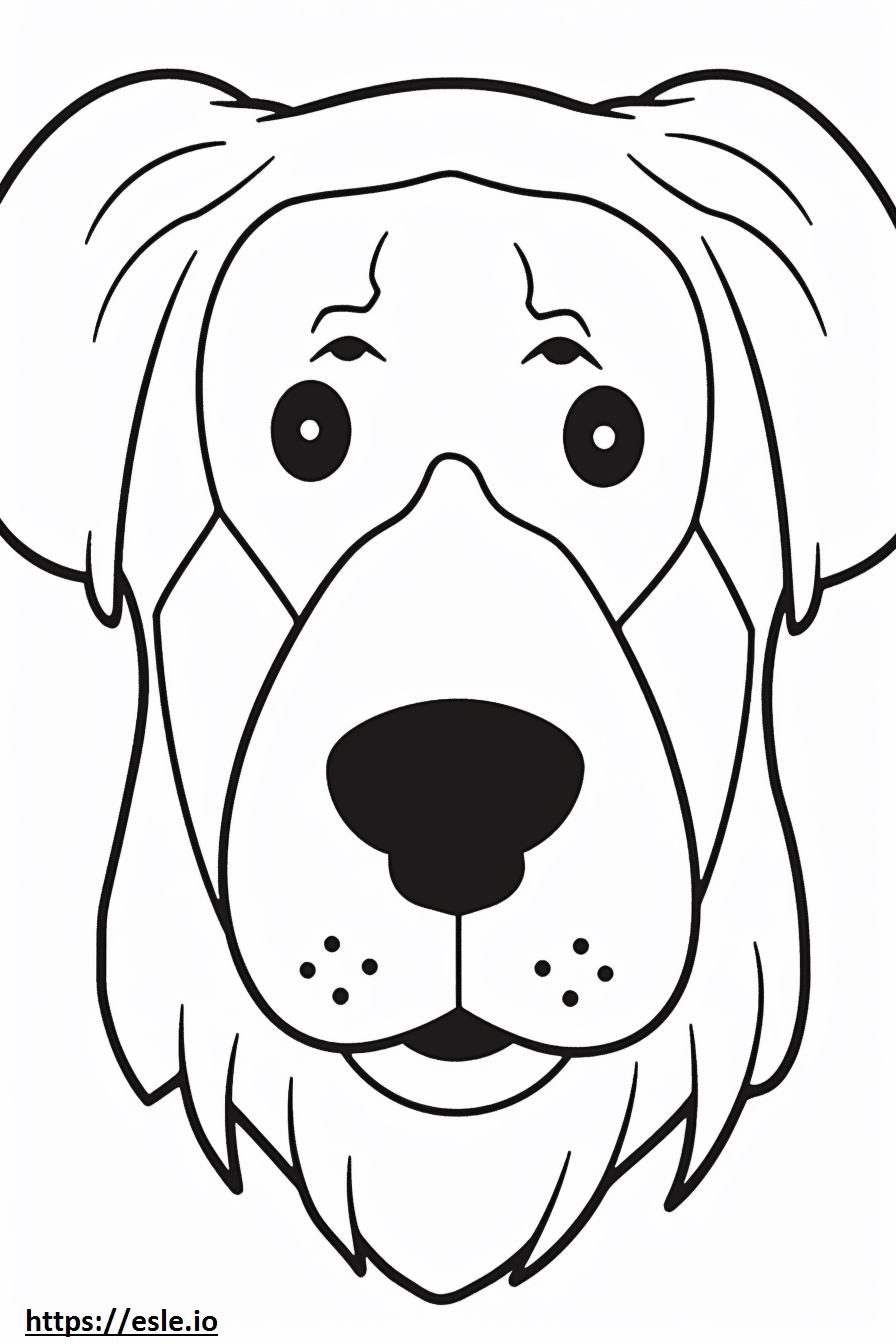 Faccia di cane bolognese da colorare
