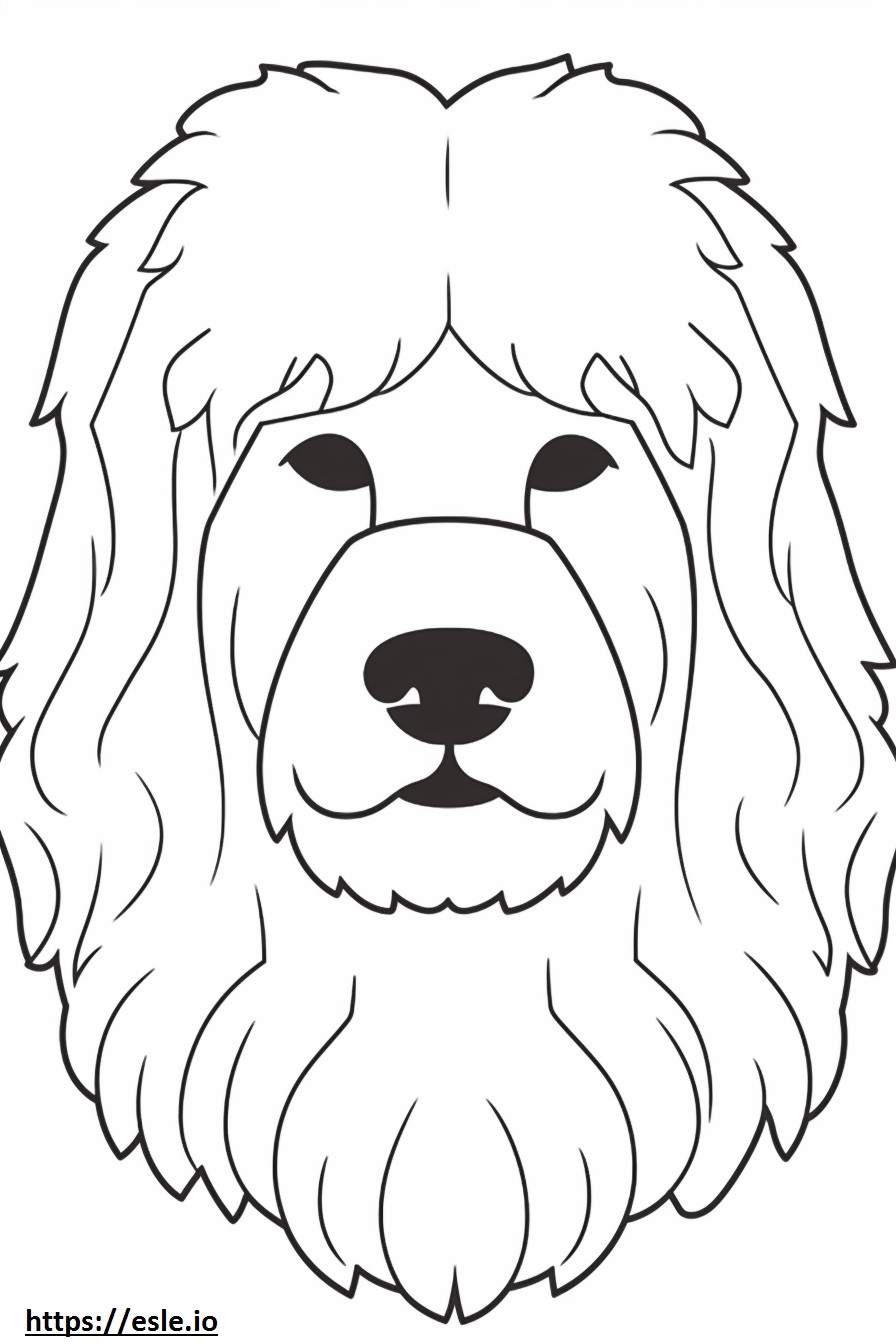 Bolognese hondengezicht kleurplaat kleurplaat