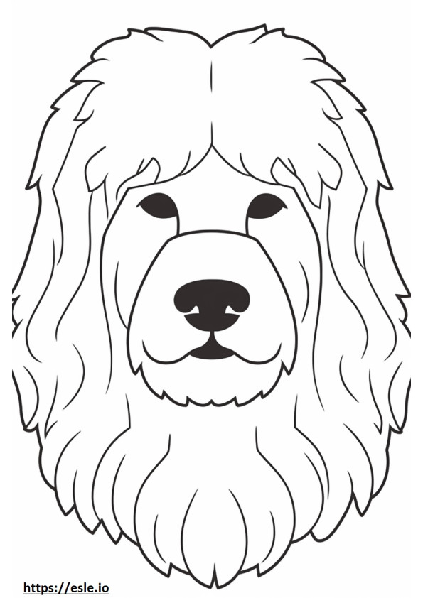Coloriage Visage de chien bolognais à imprimer