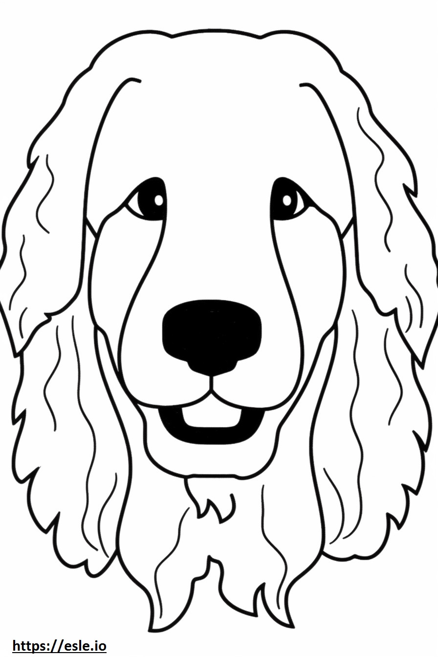 Coloriage Visage de chien bolognais à imprimer
