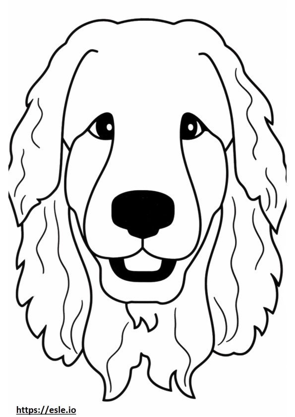 Cara de perro boloñesa para colorear e imprimir