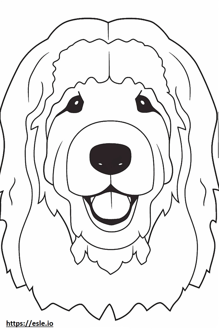 Cara de perro boloñesa para colorear e imprimir