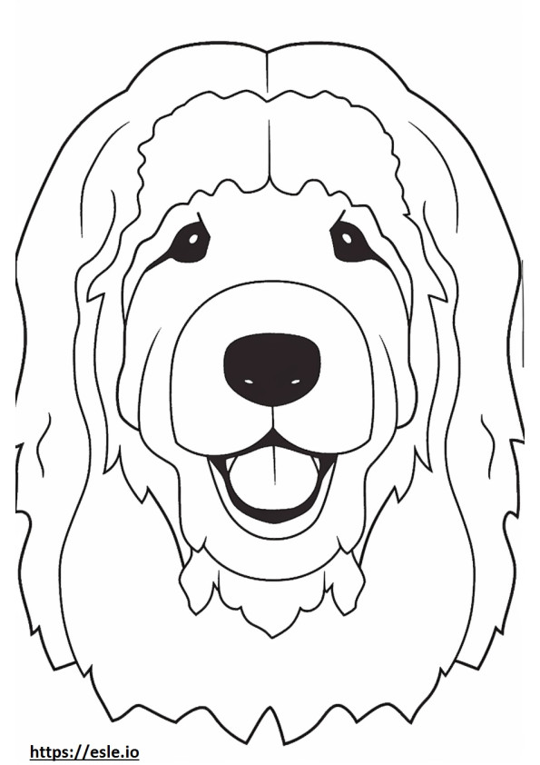 Bolognese Dog face coloring page