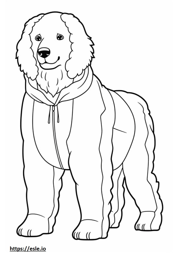 Cachorro Bolonhês de corpo inteiro para colorir