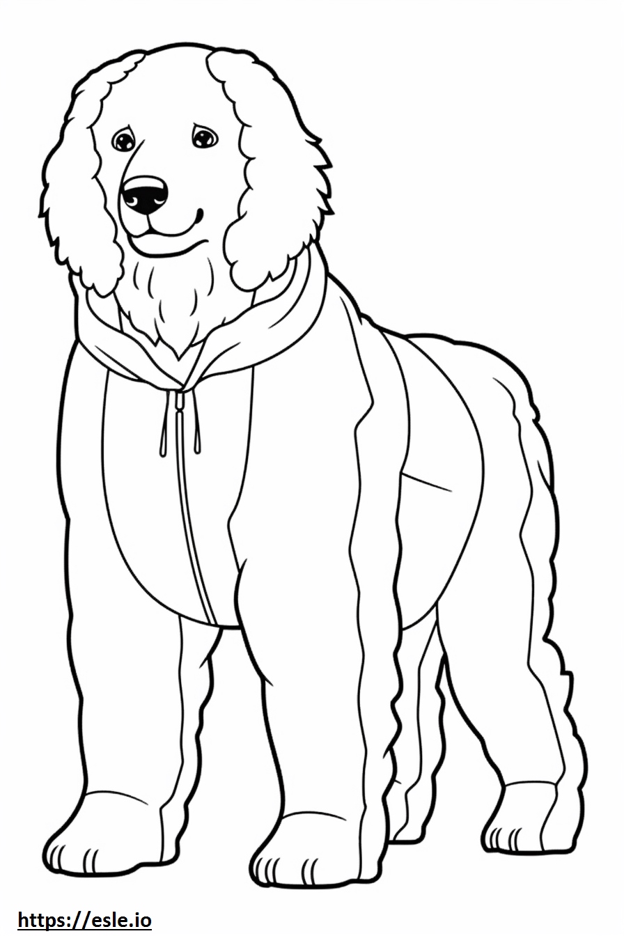 Bolognese Dog Full Body Coloring Page