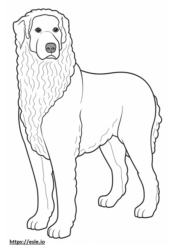 Bolognese Dog kokovartalo värityskuva