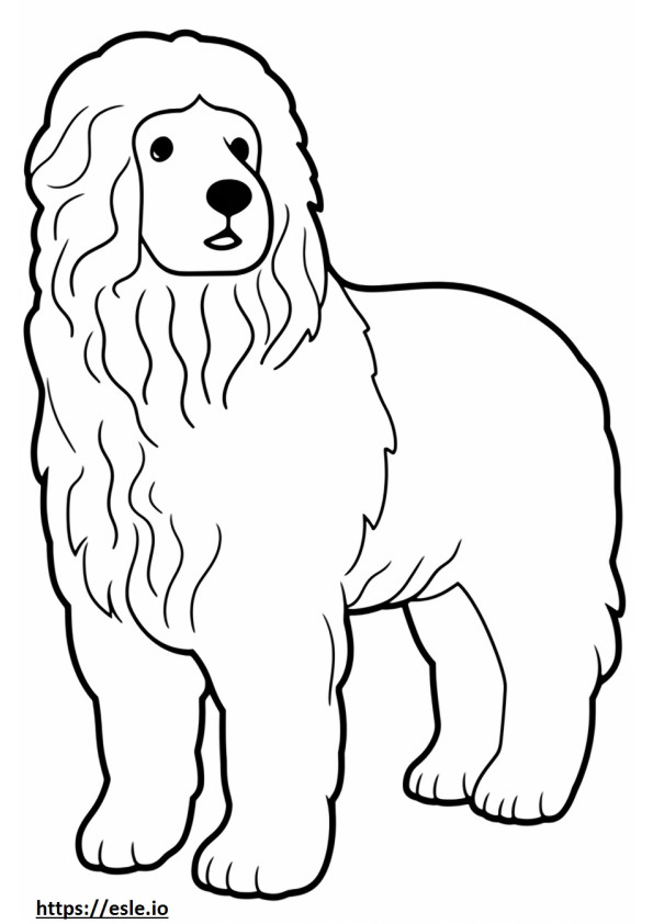 Bolognese hondenbaby kleurplaat