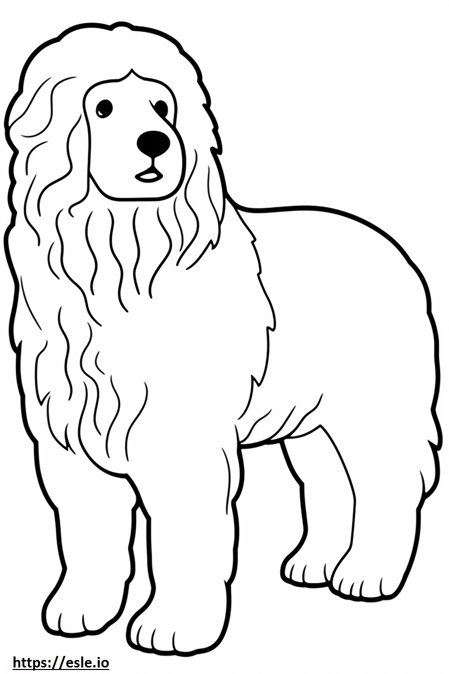 Bolognese Dog Baby Coloring Page