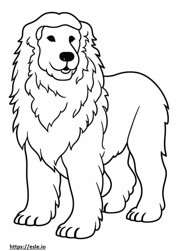 Bolognese Dog baby coloring page