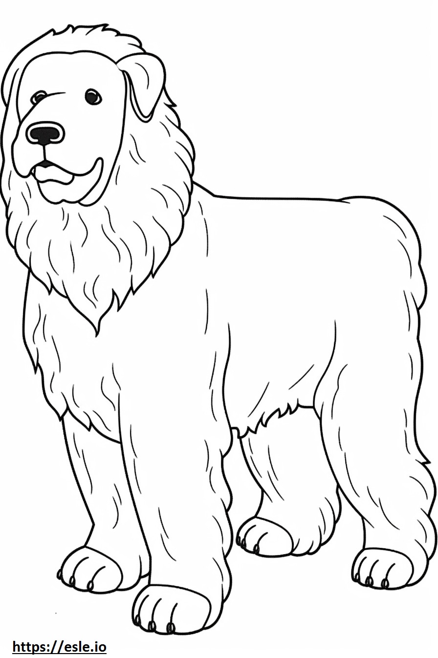 Desenho de cachorro bolonhesa para colorir