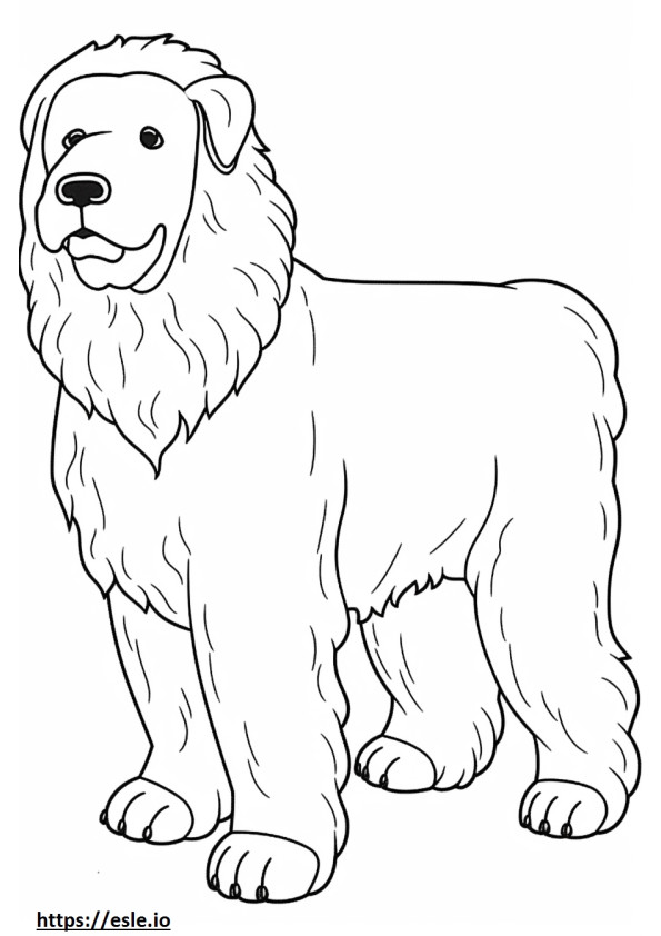 Bolognese Dog cartoon coloring page