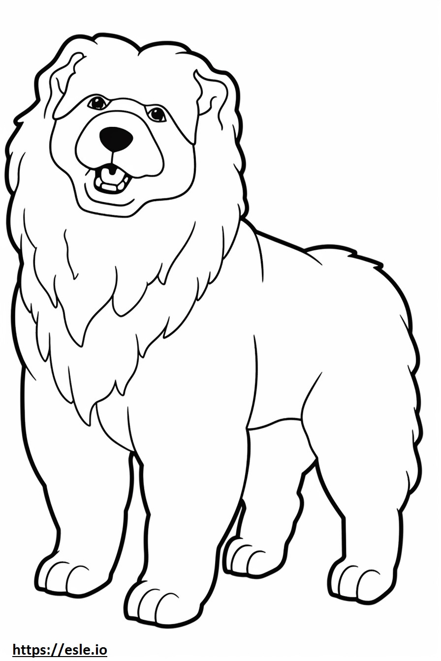 Coloriage Caricature de chien bolognais à imprimer