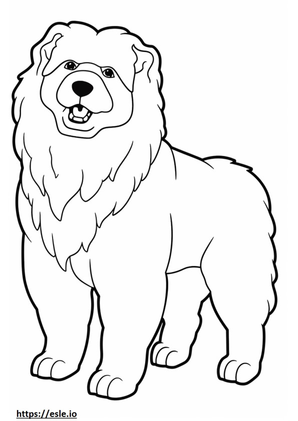 Coloriage Caricature de chien bolognais à imprimer
