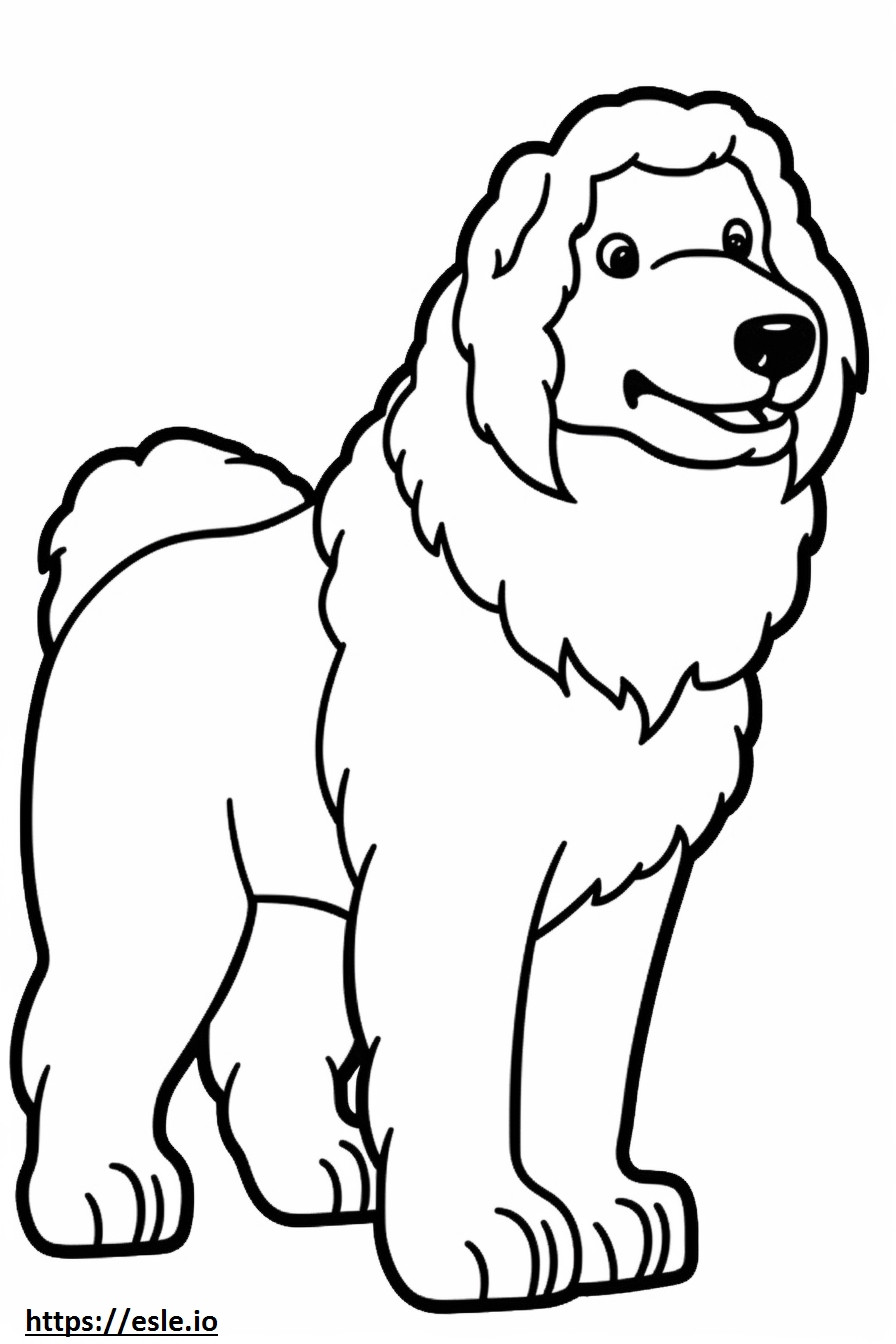 Kreskówka psa bolońskiego kolorowanka
