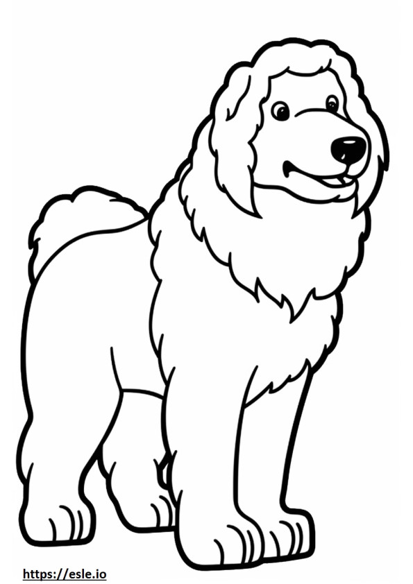 Cartone animato di cane bolognese da colorare