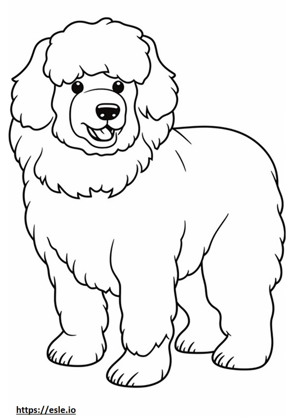 Bologneser-Hund-Cartoon ausmalbild