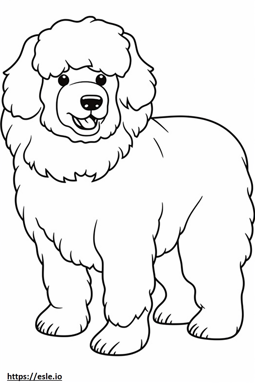 Bolognese Dog cartoon 3 coloring page