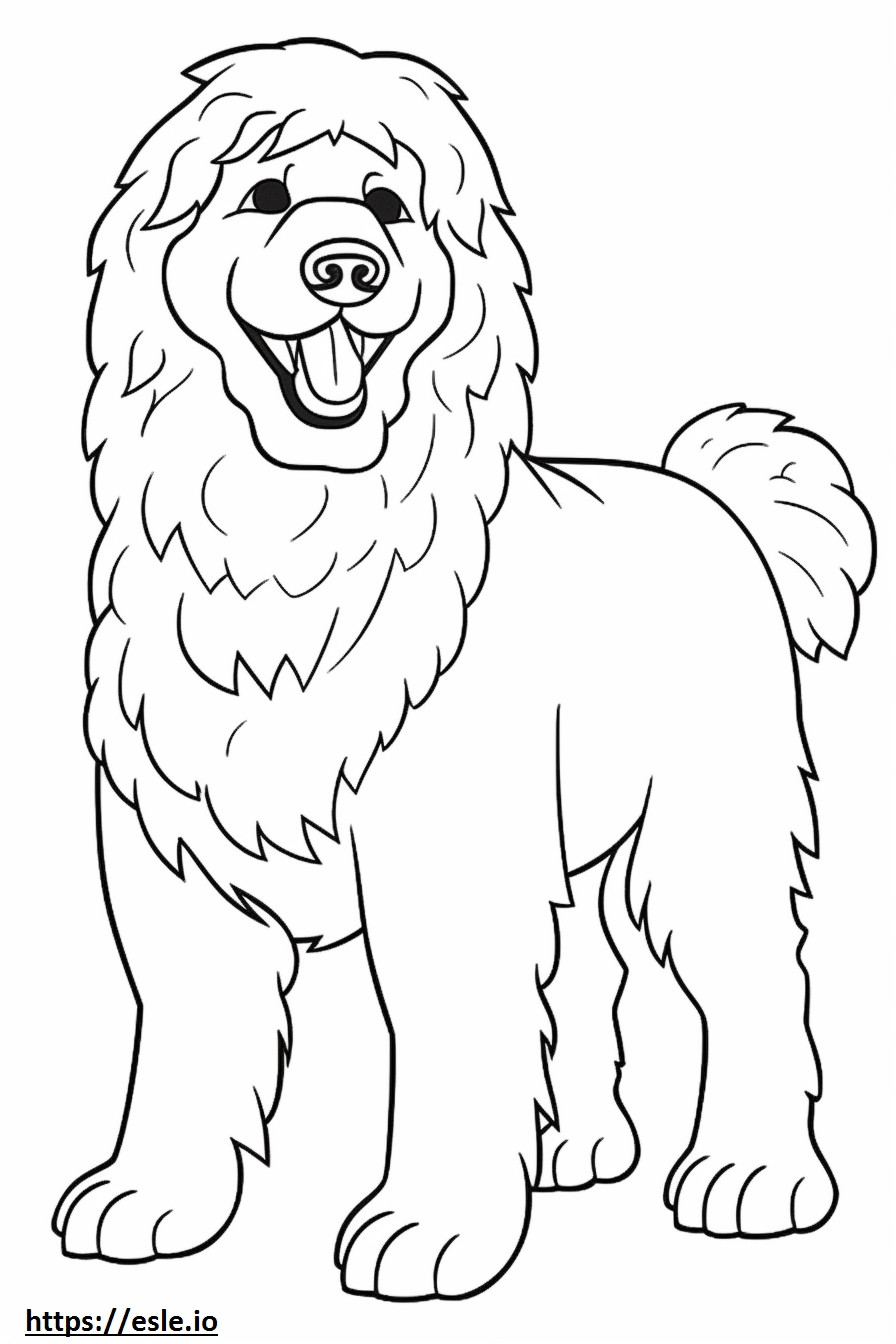 Cachorro Bolonhês fofo para colorir