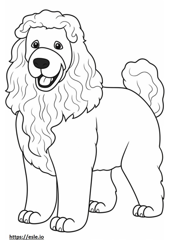 Cachorro Bolonhês fofo para colorir