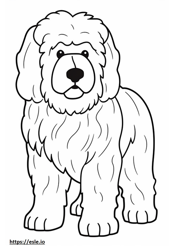 Bolognese hond schattig kleurplaat
