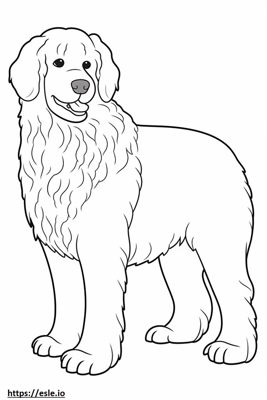 Bolognese hond blij kleurplaat kleurplaat