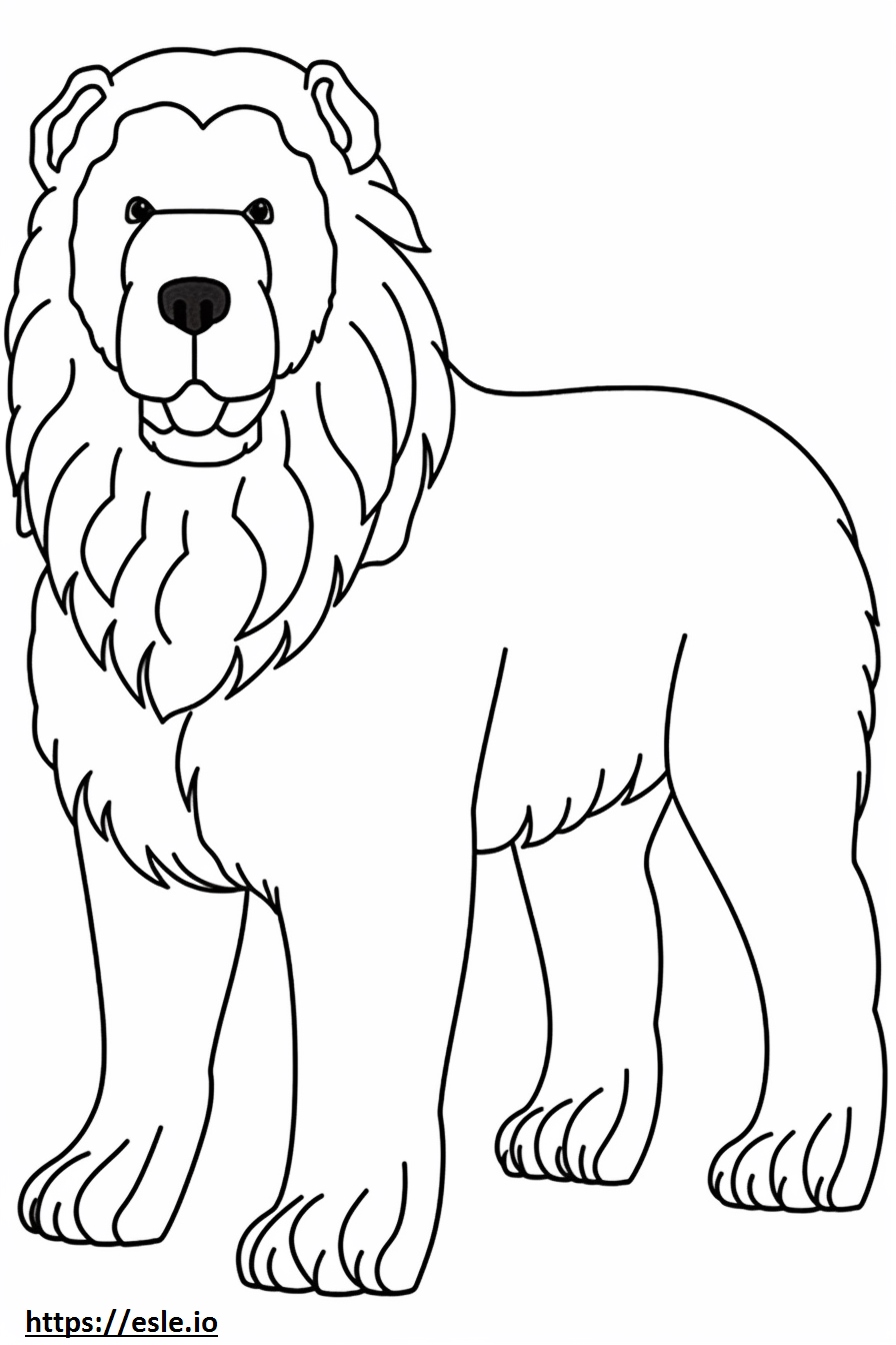 Bolognese Dog Playing Coloring Page