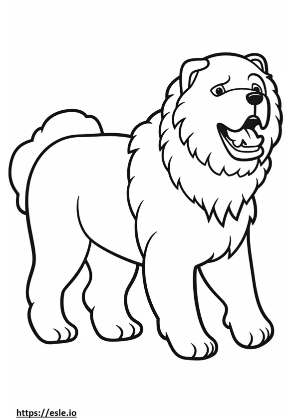 Câine Bolognese care se joacă de colorat