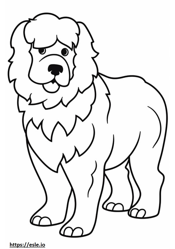 Cachorro Bolonhês Kawaii para colorir