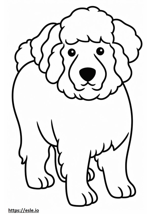 Bolonez Köpeği Kawaii boyama