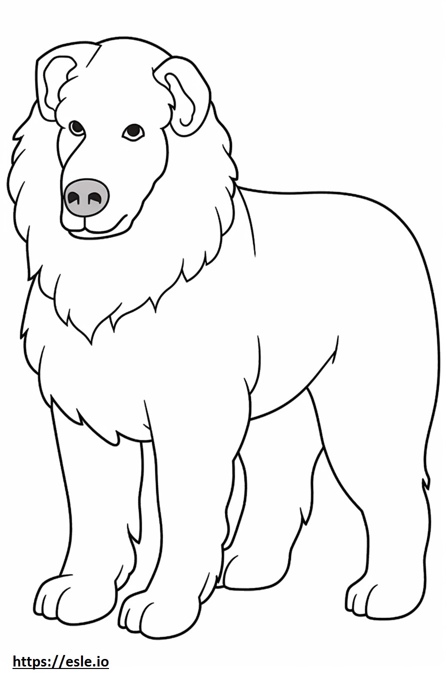 Bolognese Dog Friendly coloring page