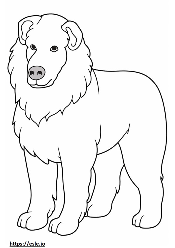 Bolognese Dog Friendly coloring page