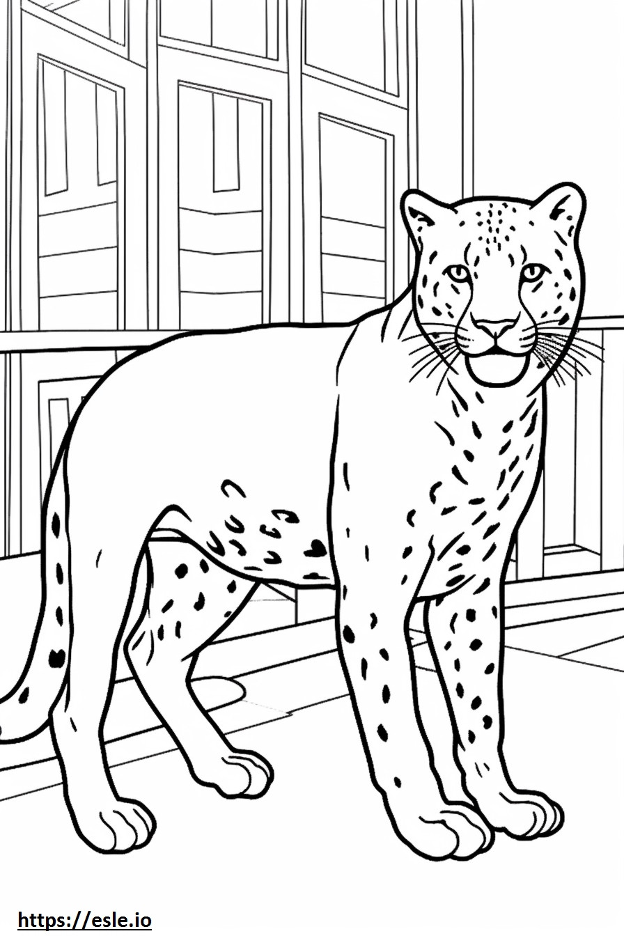 Bombay Playing coloring page