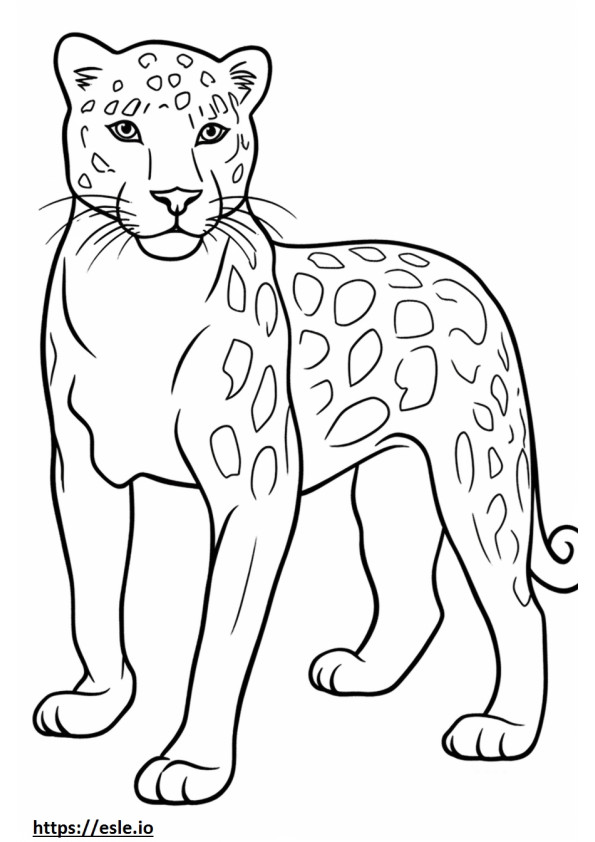 Bombay Playing coloring page