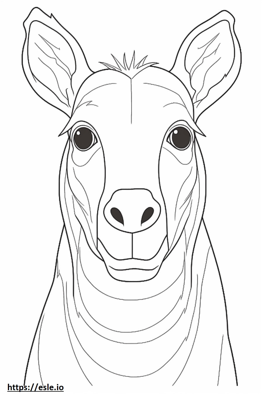 Bongo face coloring page