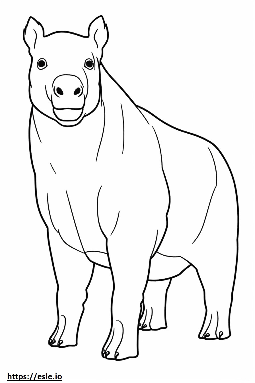 Bongo full body coloring page