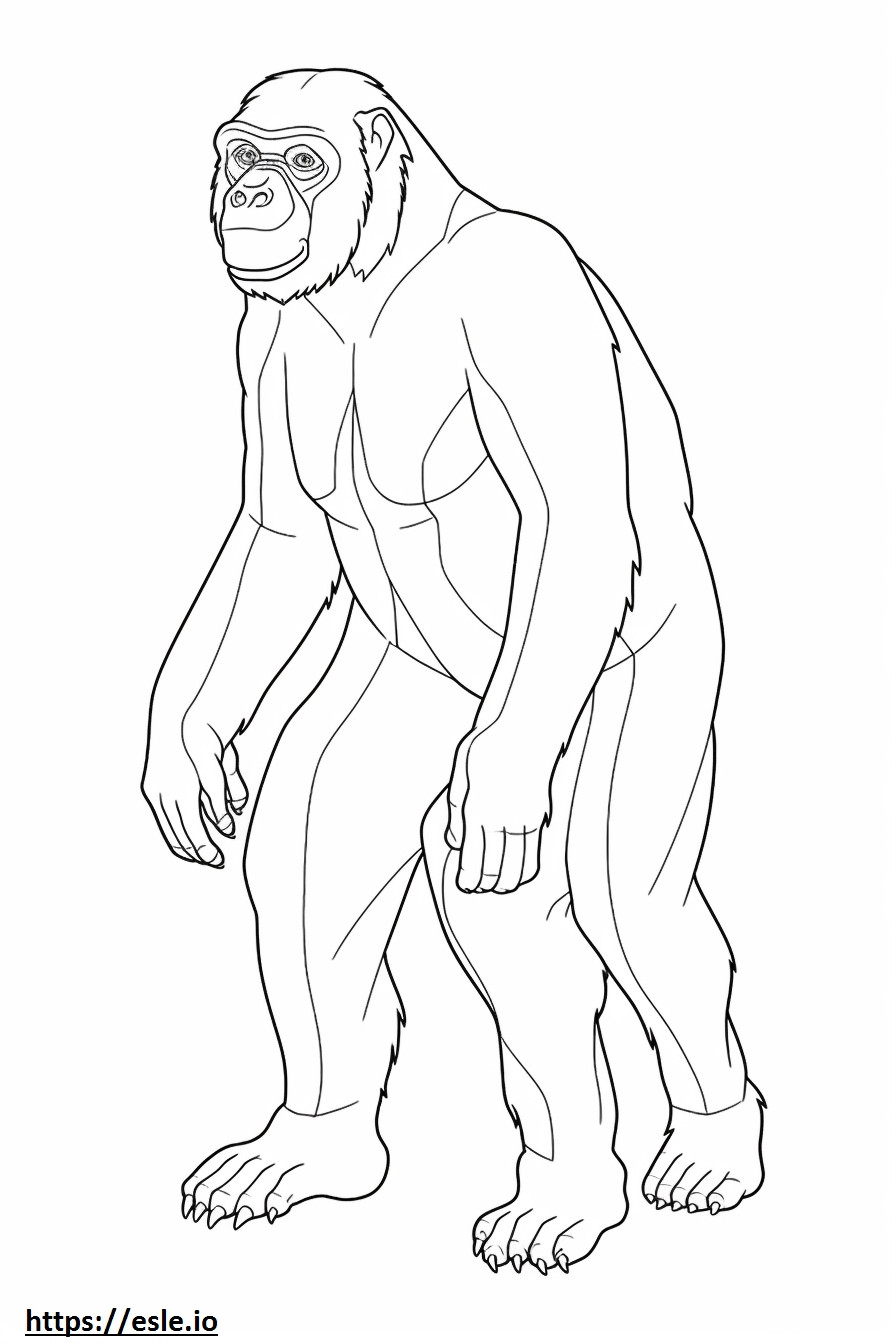 Bonobo de corpo inteiro para colorir