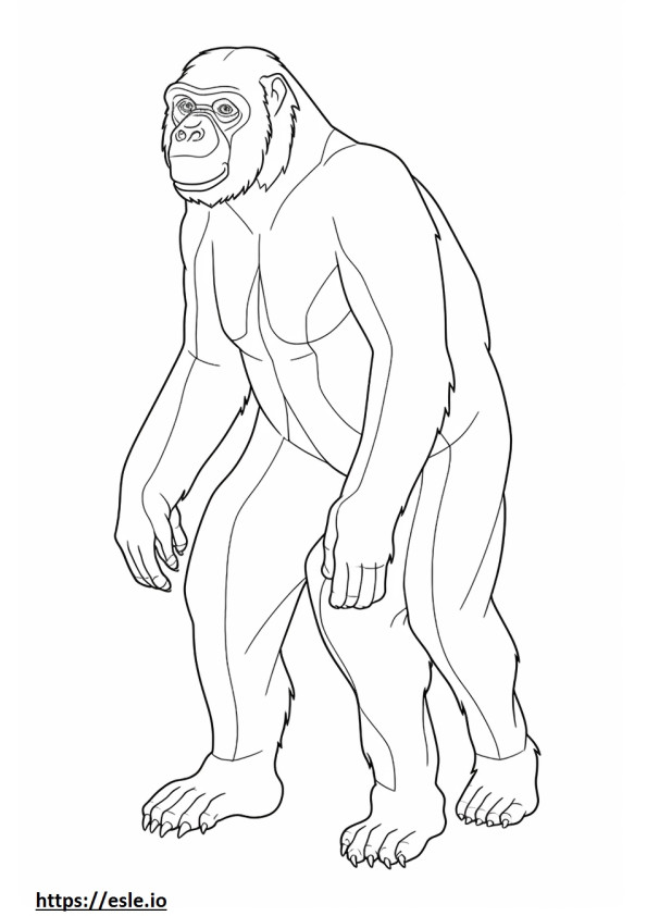 Bonobo de corpo inteiro para colorir