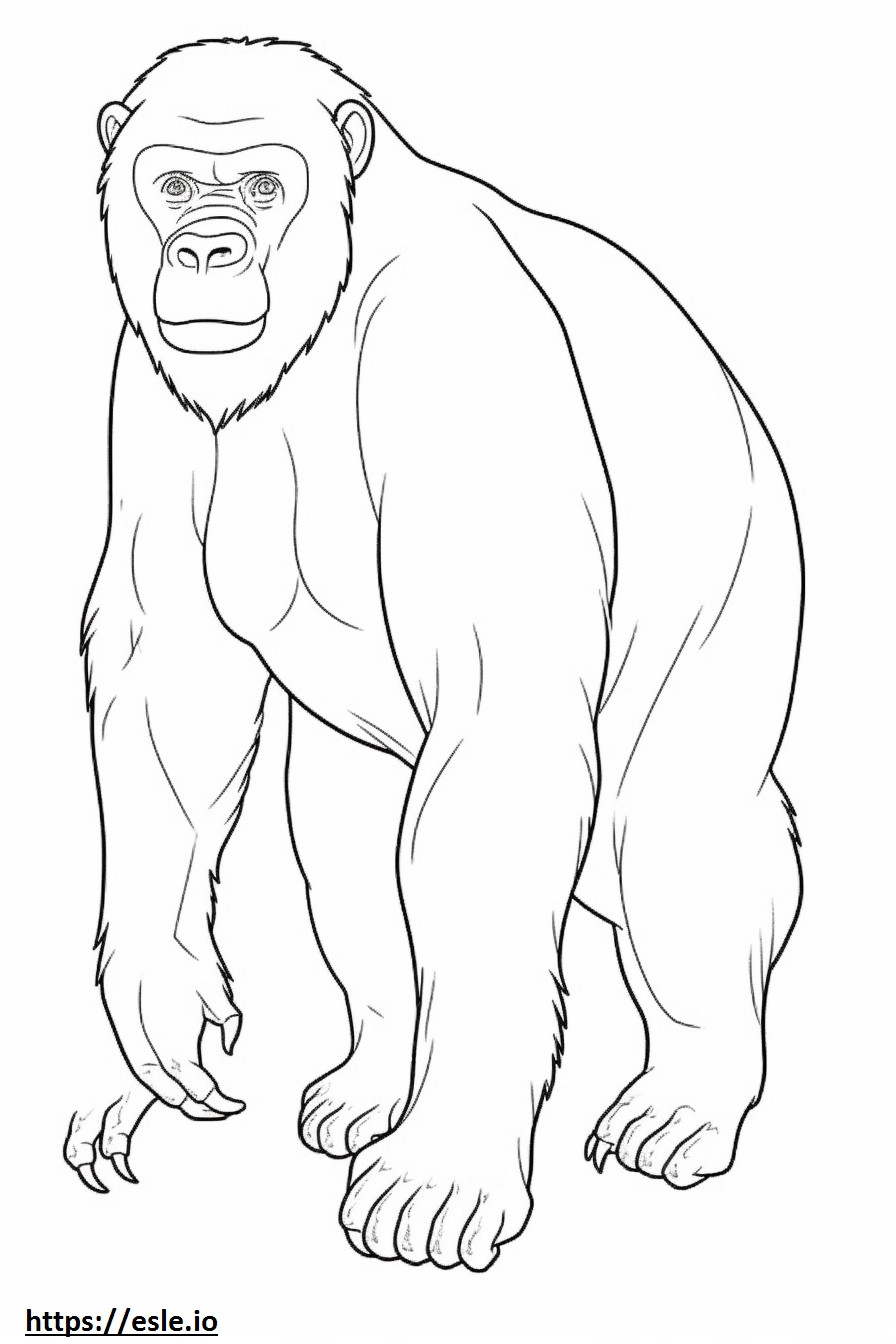 Bonobo a corpo intero da colorare