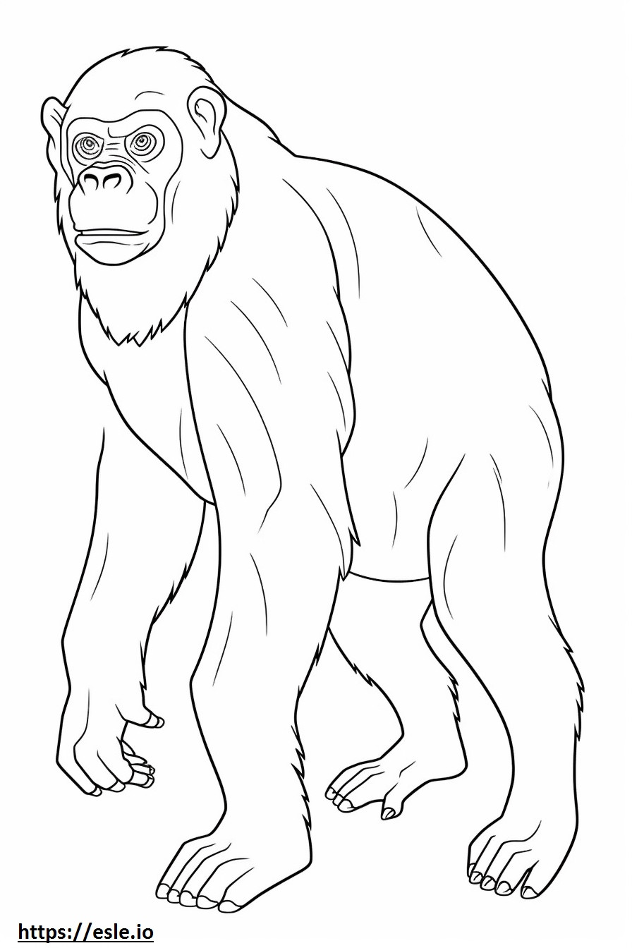 Bonobo baby coloring page