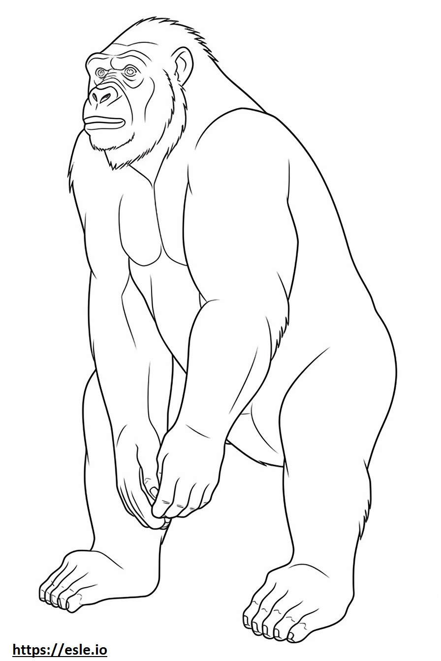 Desenho animado de bonobo para colorir