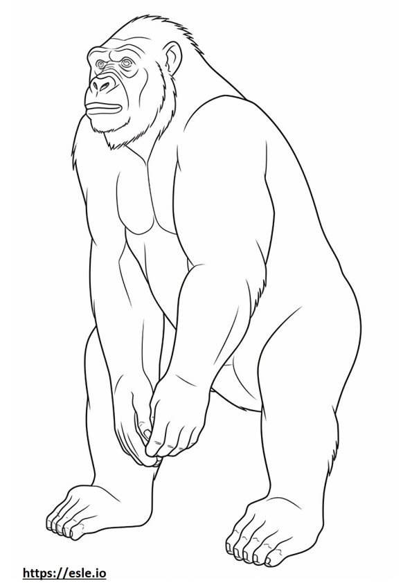 Cartone animato di bonobo da colorare