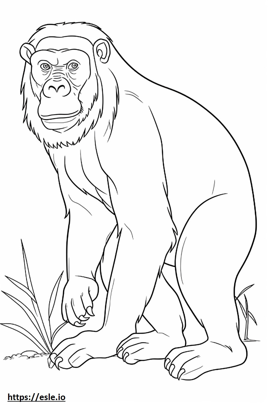Coloriage Caricature de bonobos à imprimer