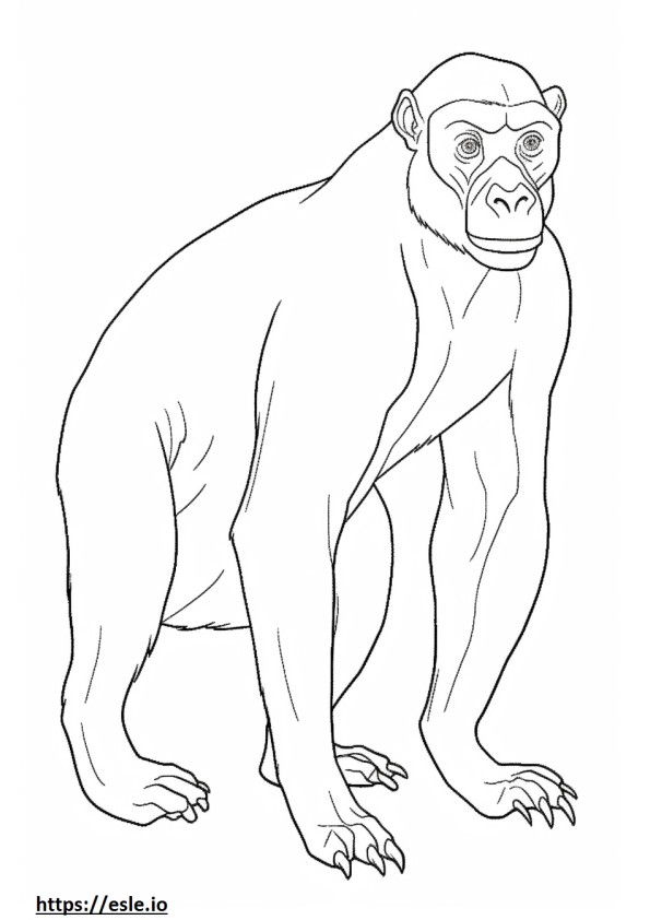 Coloriage Caricature de bonobos à imprimer