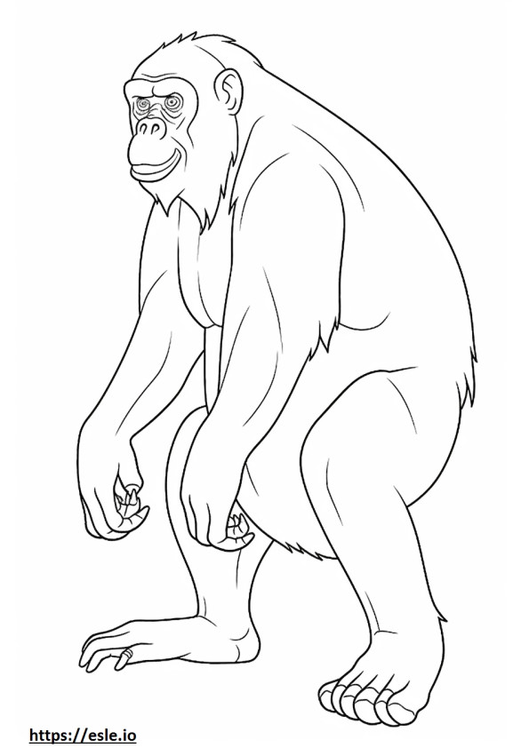 Bonobo cartoon coloring page